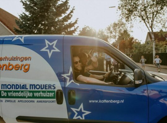 00195 logo Koning