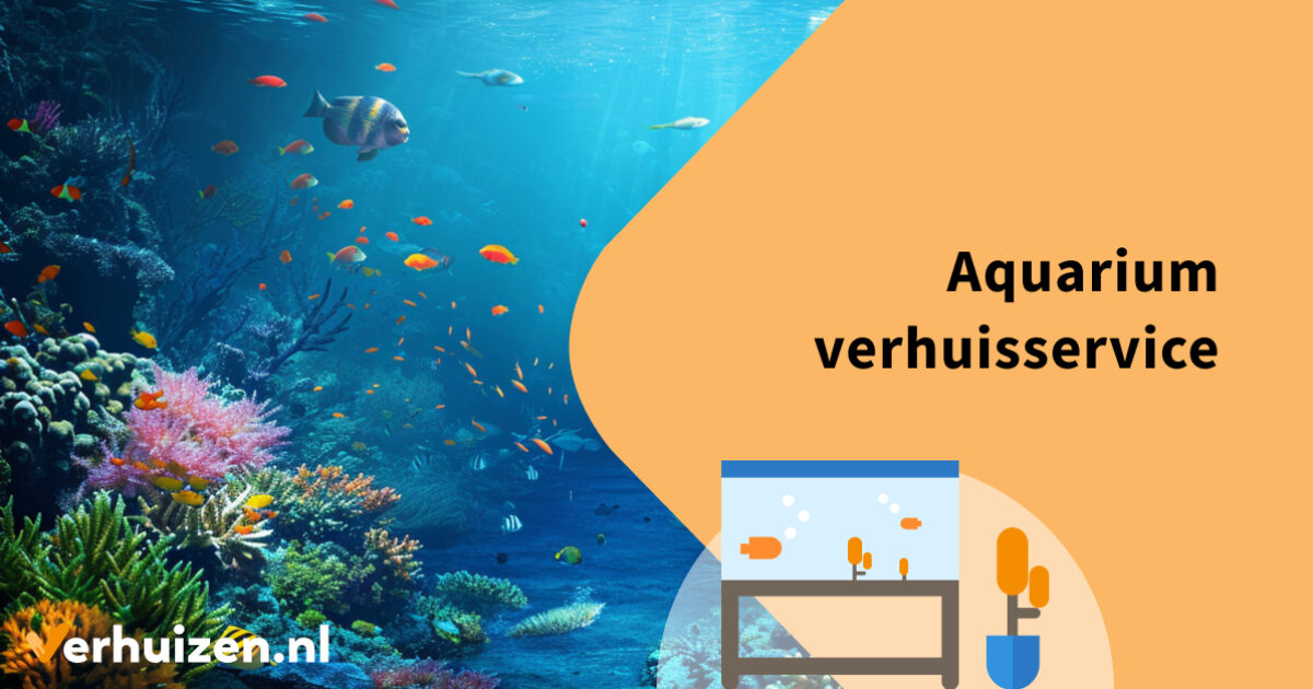 Verhuizing Rondom Rotterdam: Tips Voor Een Vlotte Verhuizing
