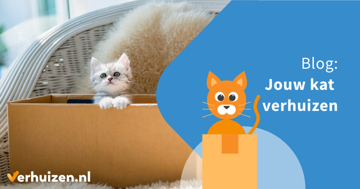 Verhuizen.nl Verhuizen met een kat alles wat je moet weten